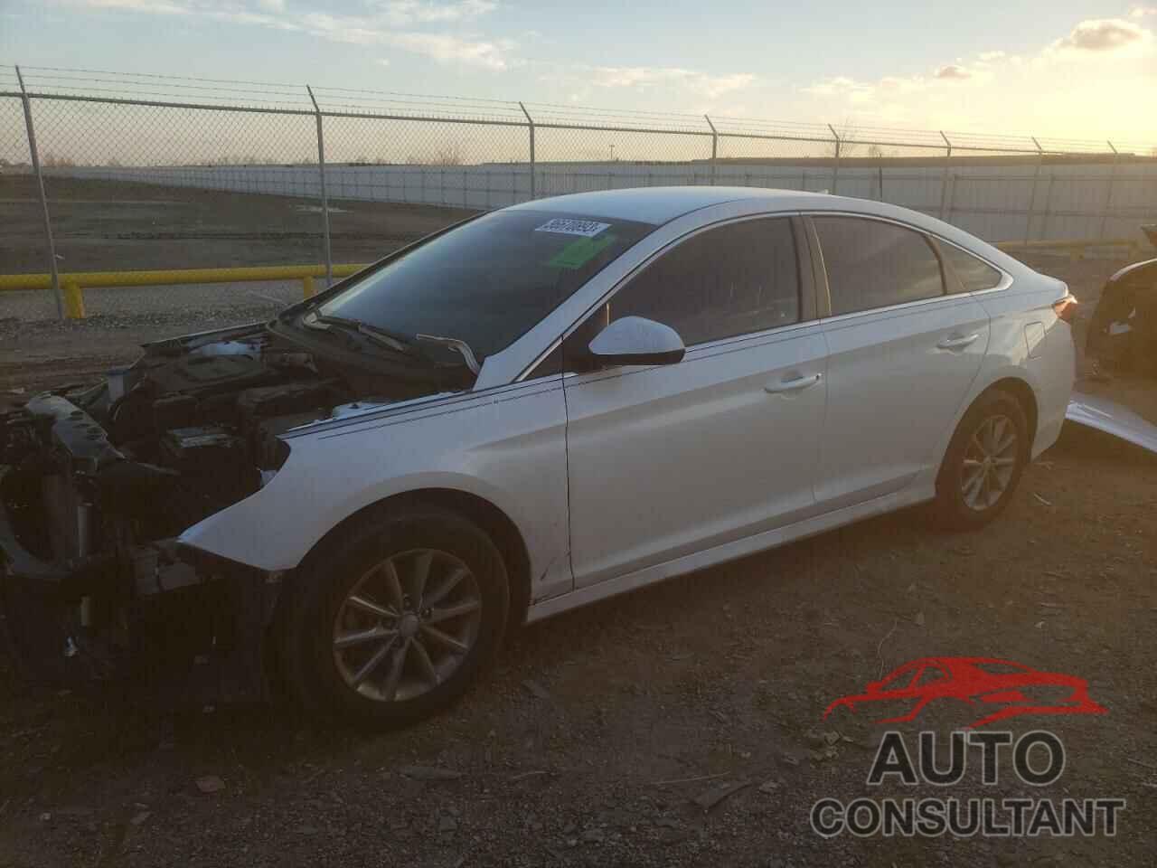 HYUNDAI SONATA 2019 - 5NPE24AF2KH749057
