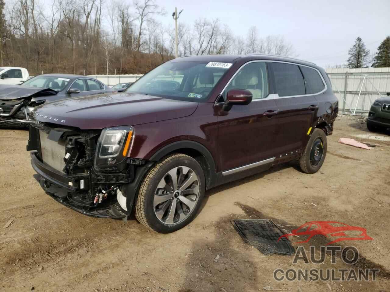 KIA TELLURIDE 2021 - 5XYP3DHC5MG171452