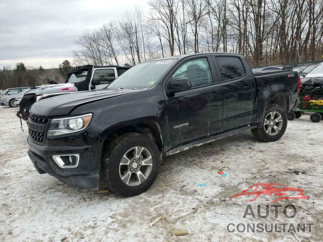 CHEVROLET COLORADO 2019 - 1GCGTDEN7K1260233