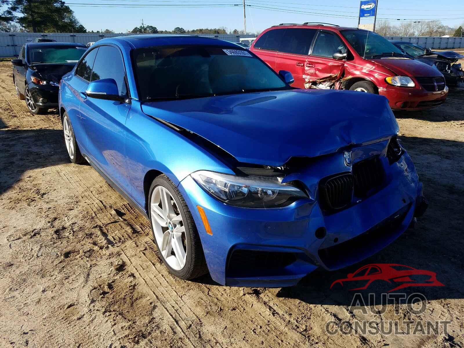 BMW 2 SERIES 2016 - WBA1F9C53GV545683