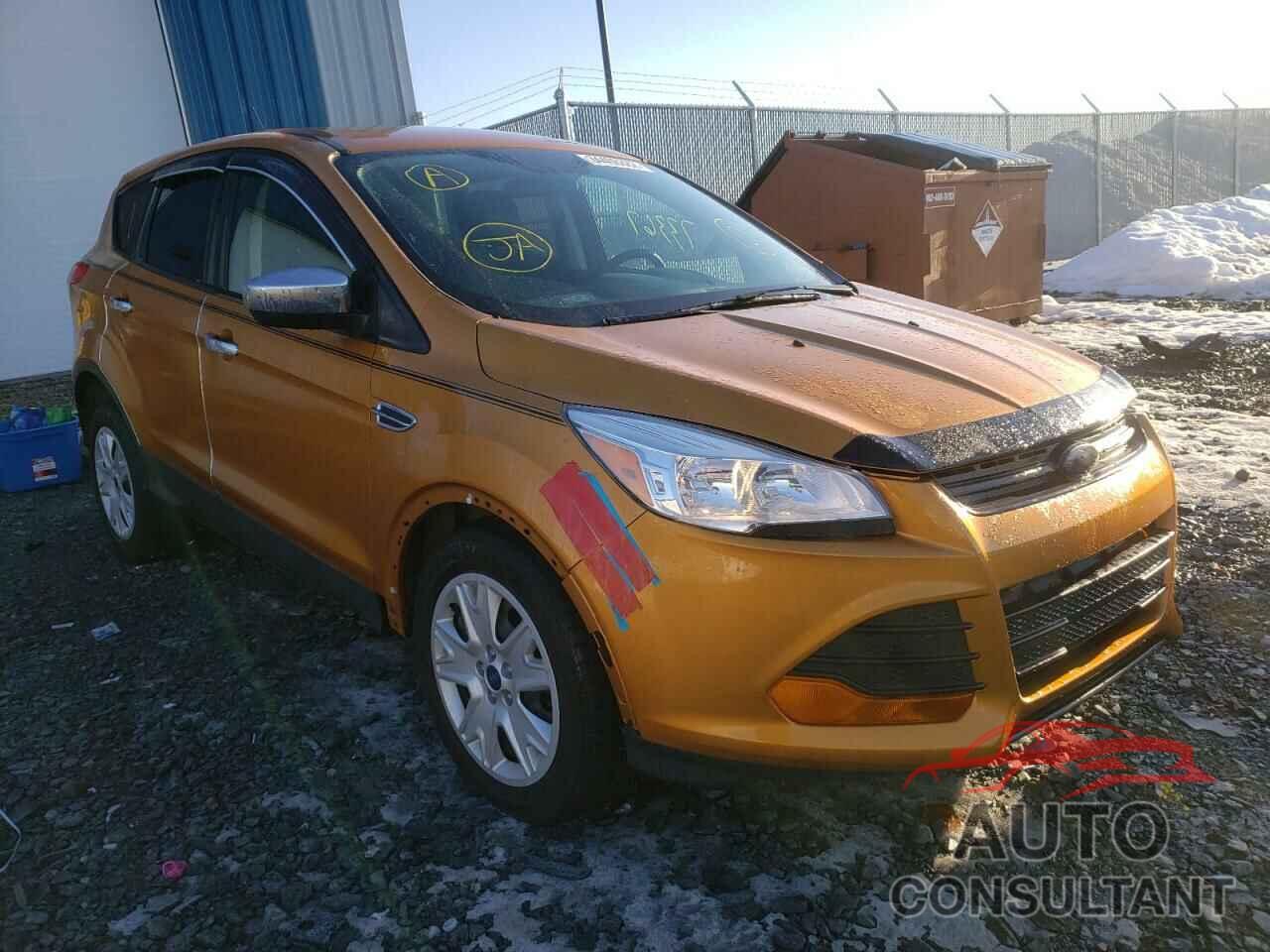 FORD ESCAPE 2016 - 1FMCU9FX5GUA87189
