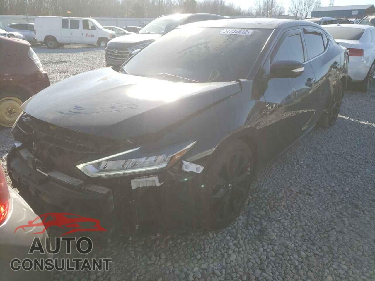 NISSAN MAXIMA 2019 - 1N4AA6AV6KC380435