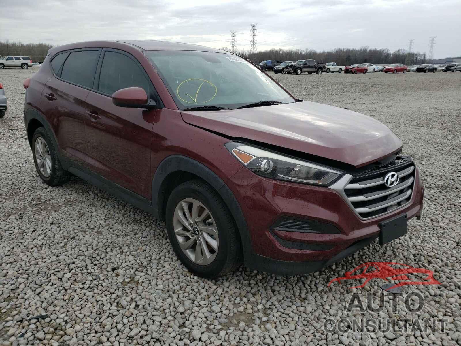 HYUNDAI TUCSON 2017 - KM8J23A43HU313352