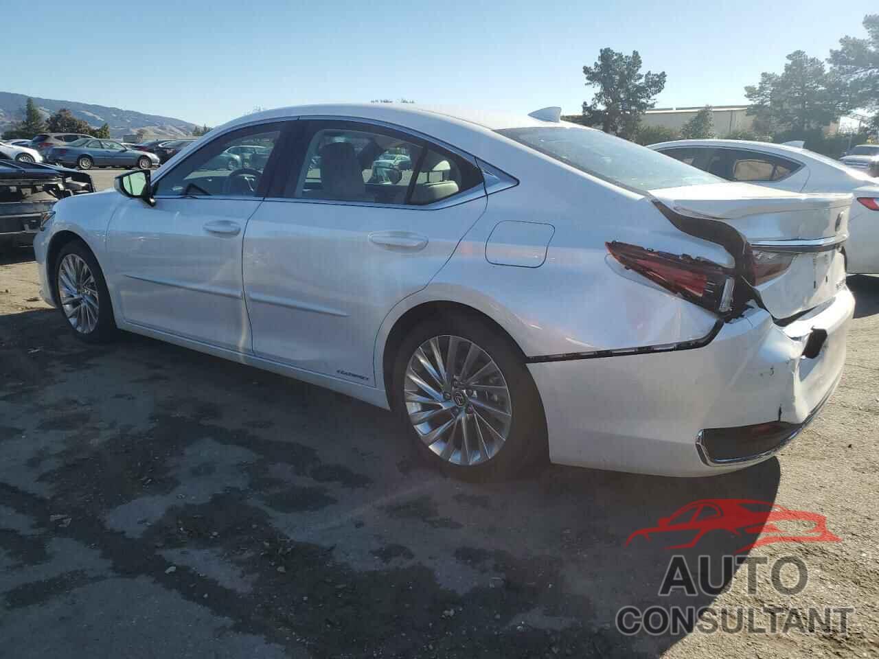 LEXUS ES300 2020 - 58AE21B11LU012607