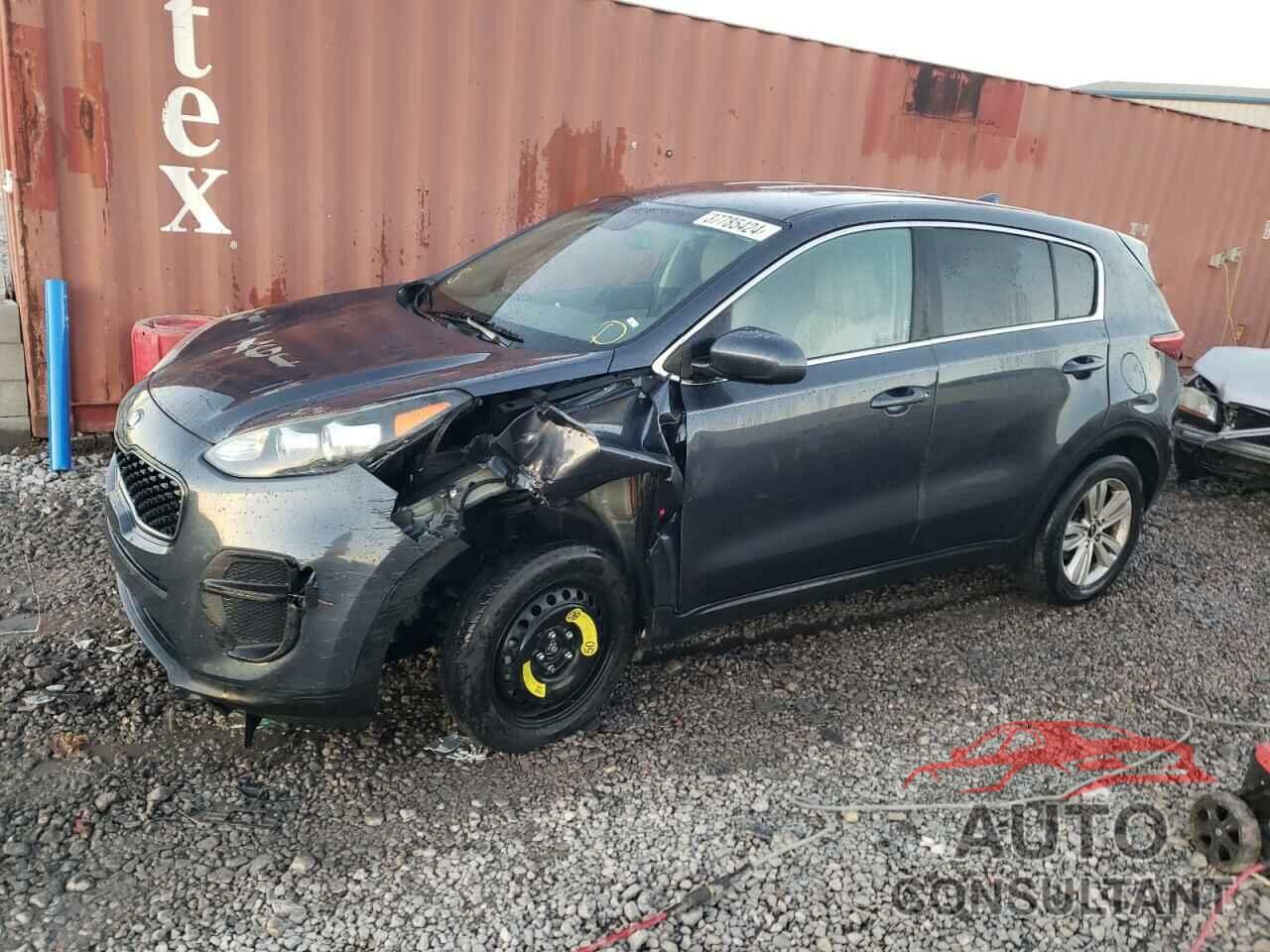 KIA SPORTAGE 2019 - KNDPM3AC3K7555970