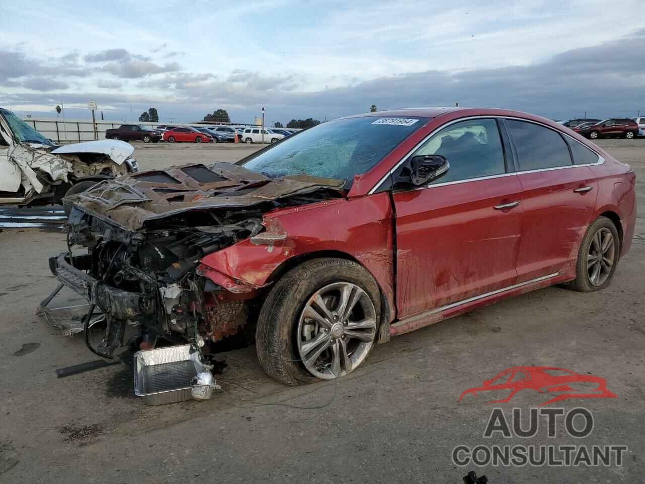 HYUNDAI SONATA 2019 - 5NPE34AF5KH816621