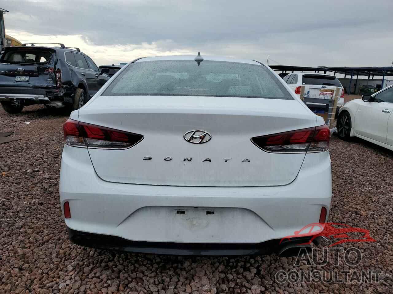 HYUNDAI SONATA 2019 - 5NPE34AF2KH781181