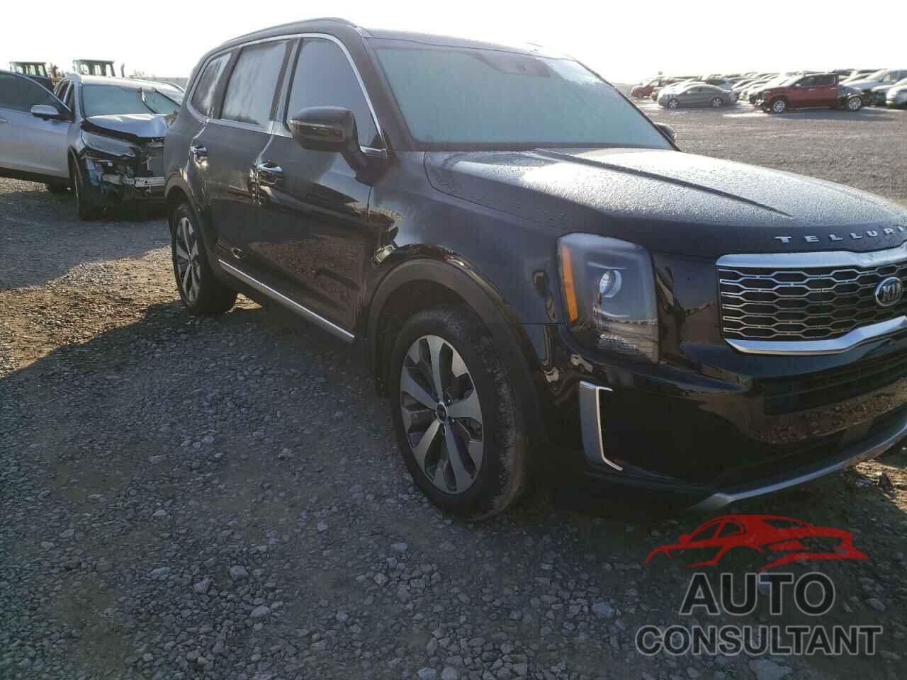 KIA TELLURIDE 2020 - 5XYP64HC8LG086014