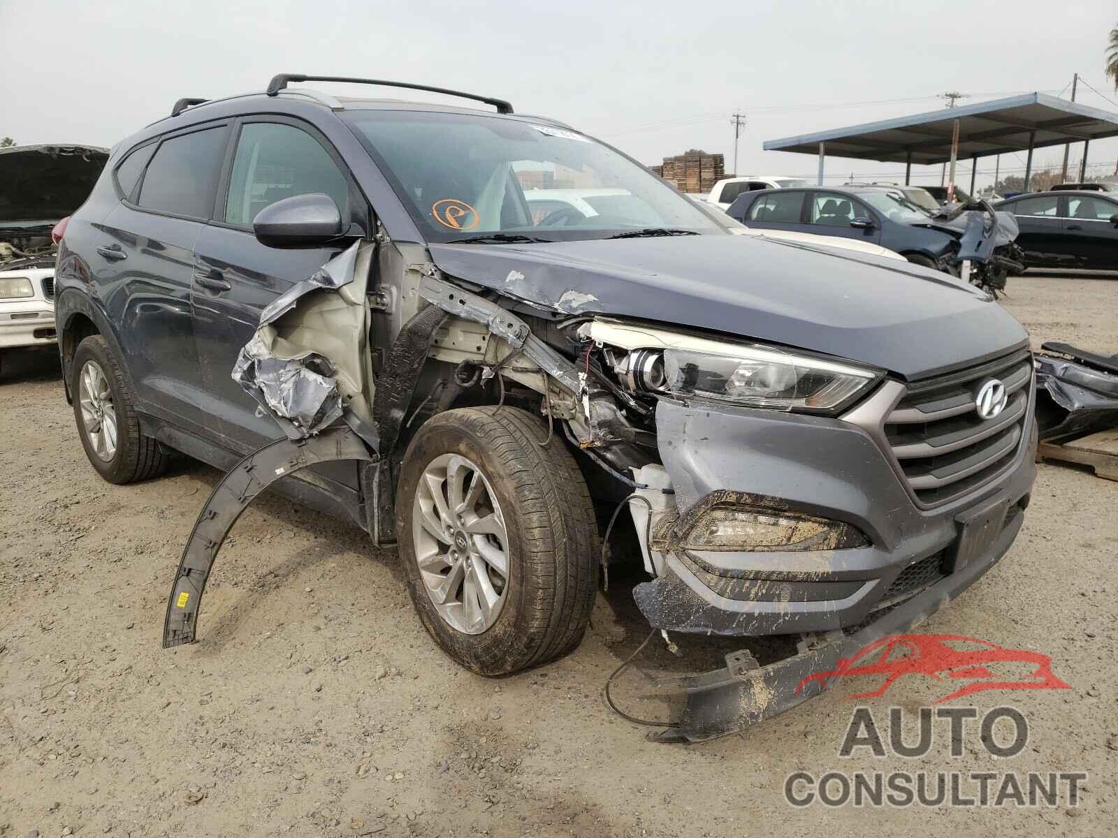 HYUNDAI TUCSON 2016 - KM8J33A42GU209933