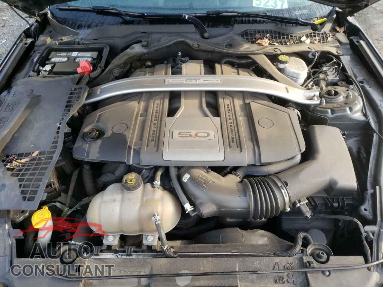 FORD MUSTANG 2019 - 1FA6P8CF9K5129855
