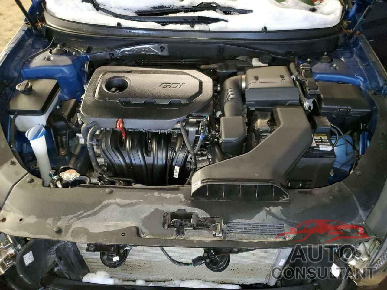 HYUNDAI SONATA 2019 - 5NPE24AF3KH746829