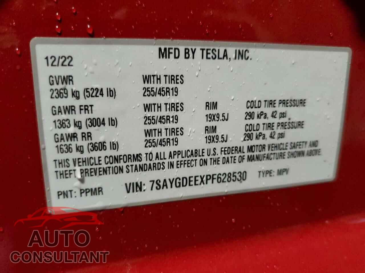 TESLA MODEL Y 2023 - 7SAYGDEEXPF628530