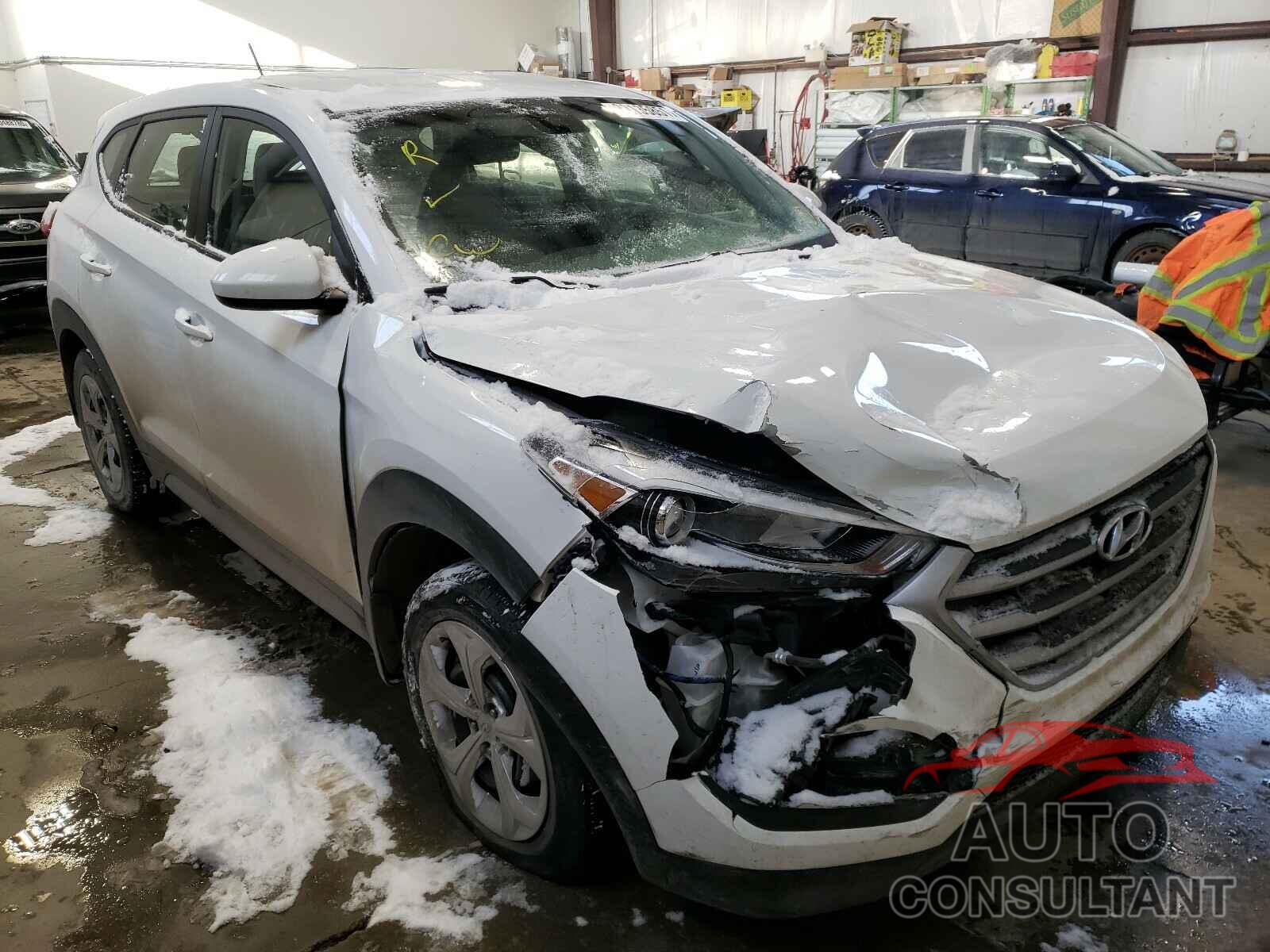 HYUNDAI TUCSON 2017 - KM8J2CA41HU557159