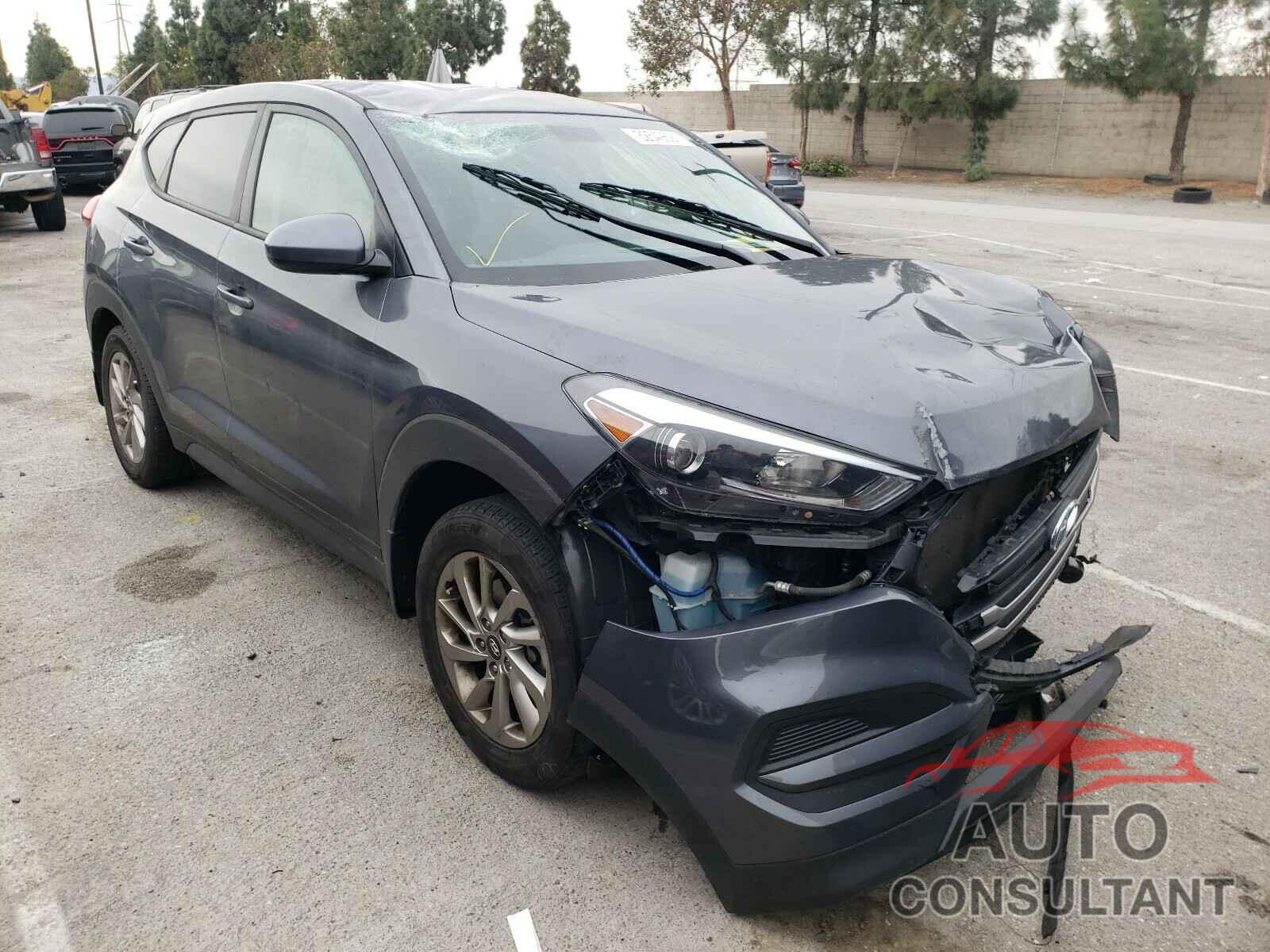 HYUNDAI TUCSON 2017 - KM8J23A45HU570030