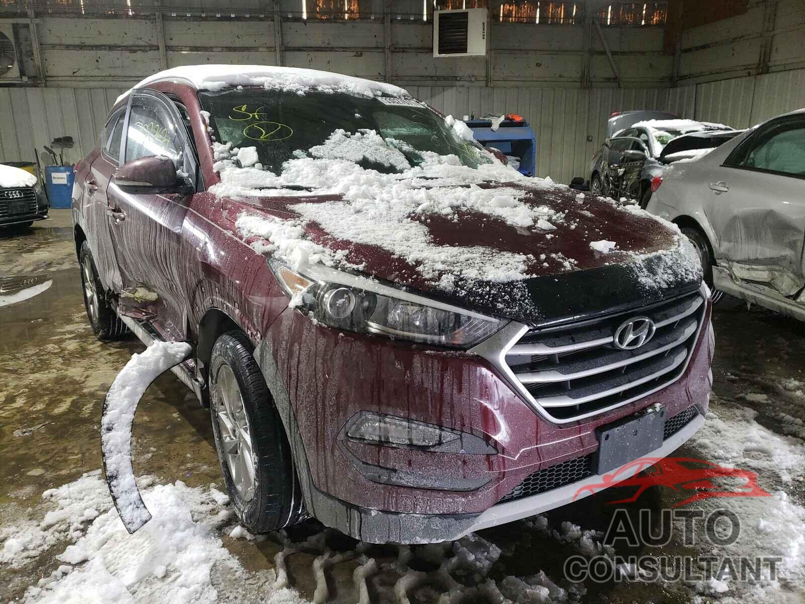 HYUNDAI TUCSON 2017 - KM8J33A26HU318816