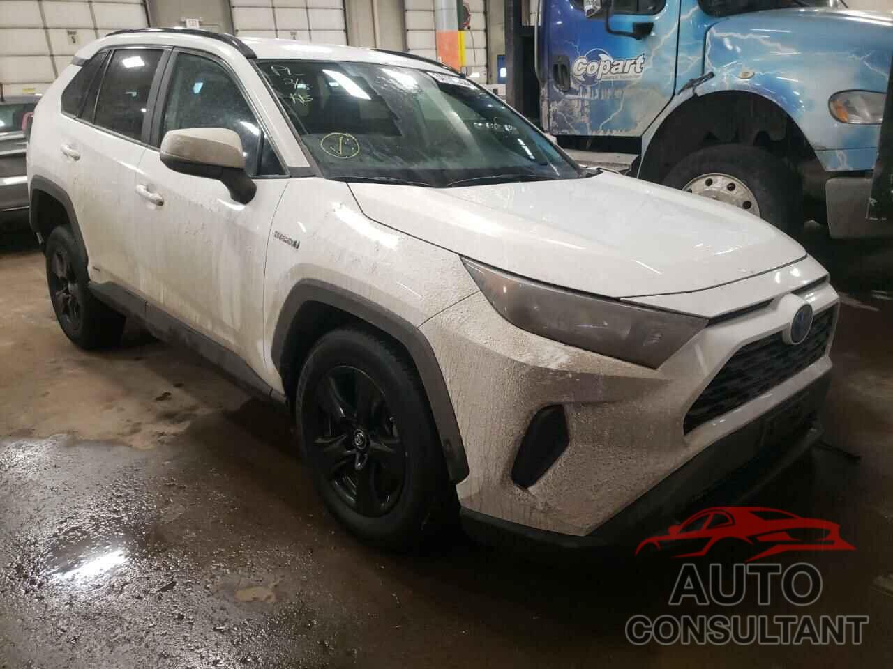 TOYOTA RAV4 2019 - 2T3MWRFV0KW031738
