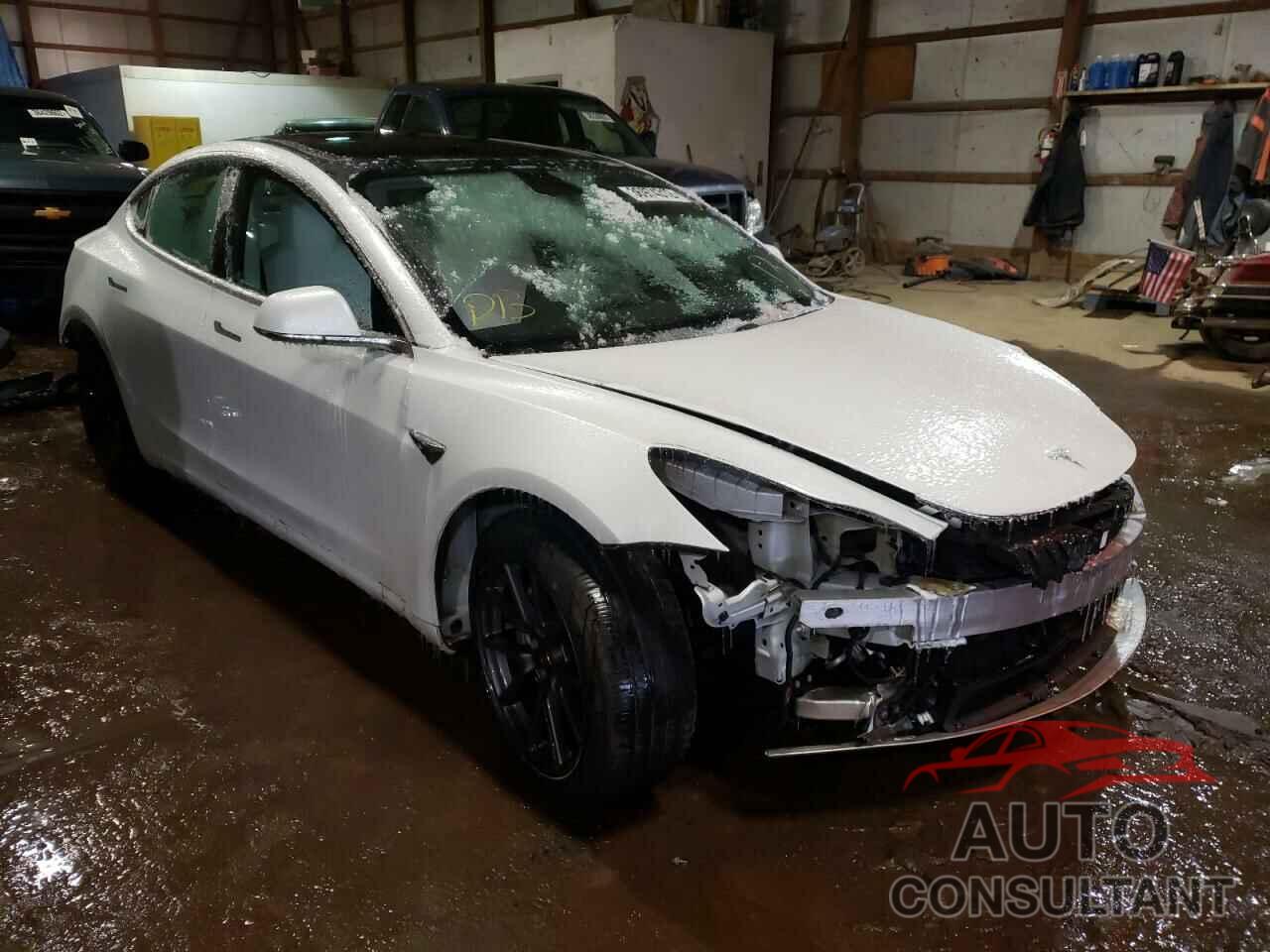 TESLA MODEL 3 2019 - 5YJ3E1EB3KF213589