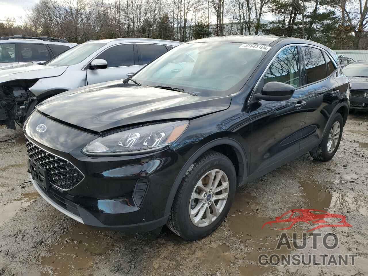 FORD ESCAPE 2020 - 1FMCU9G61LUB53737