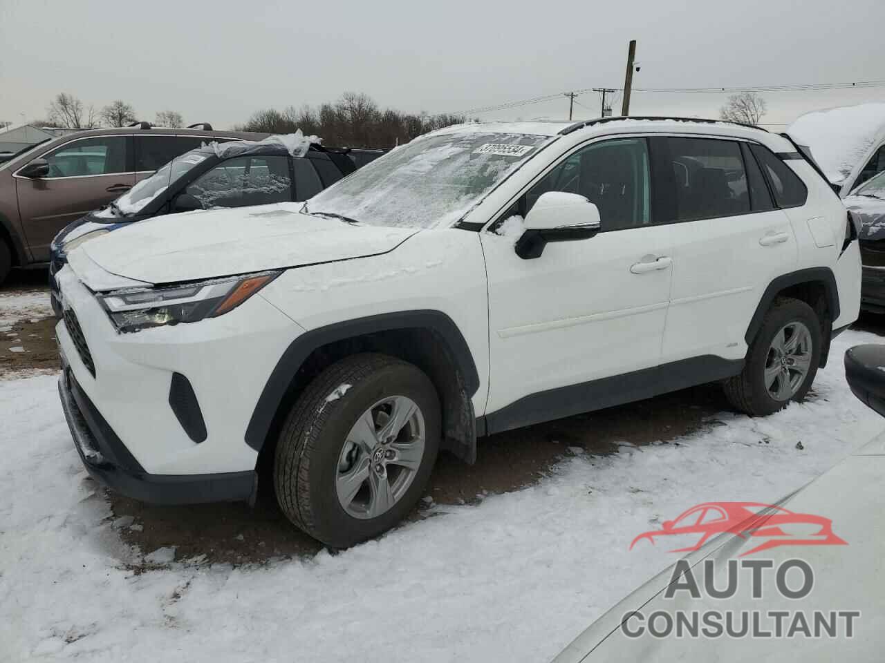 TOYOTA RAV4 2023 - 2T3RWRFV2PW183436