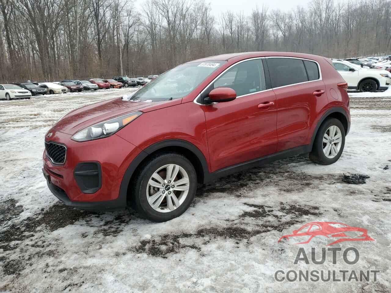 KIA SPORTAGE 2019 - KNDPM3AC1K7593195
