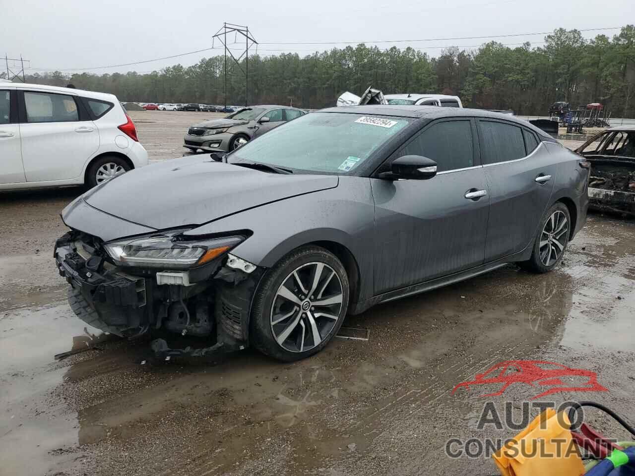 NISSAN MAXIMA 2019 - 1N4AA6AV3KC362474