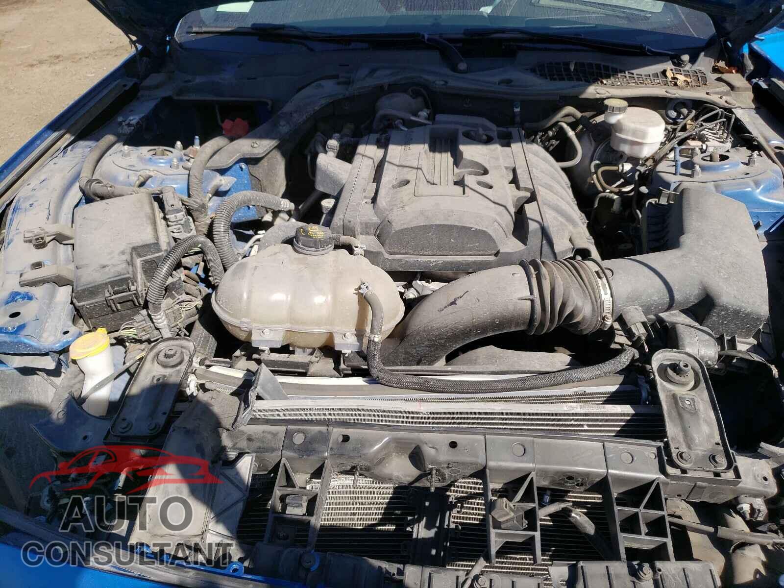 FORD MUSTANG 2019 - 1FA6P8TH8K5135065