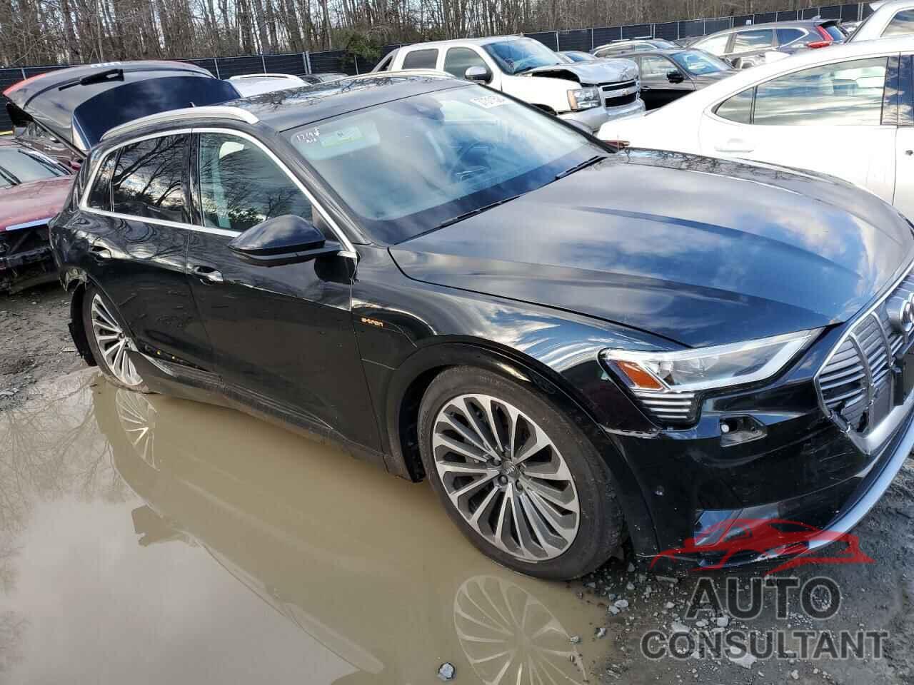 AUDI E-TRON 2019 - WA1VABGE3KB021846