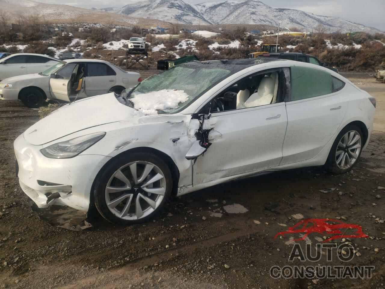 TESLA MODEL 3 2019 - 5YJ3E1EB6KF392355