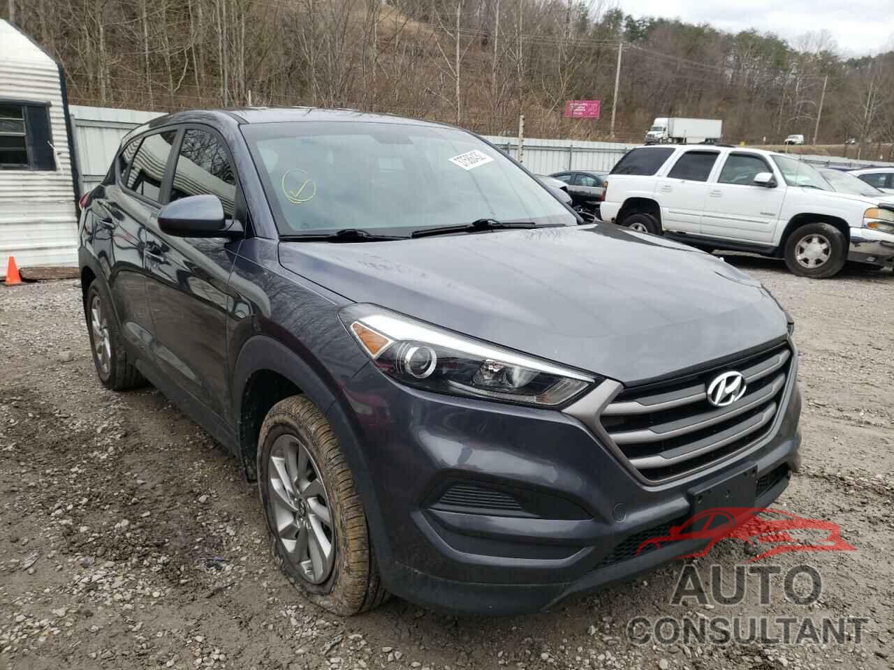 HYUNDAI TUCSON 2016 - KM8J23A42GU155598