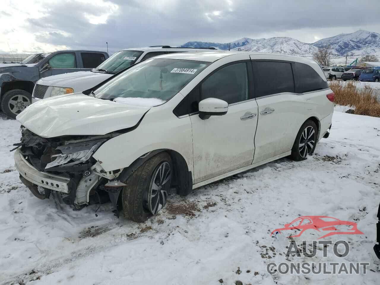 HONDA ODYSSEY 2019 - 5FNRL6H92KB077641