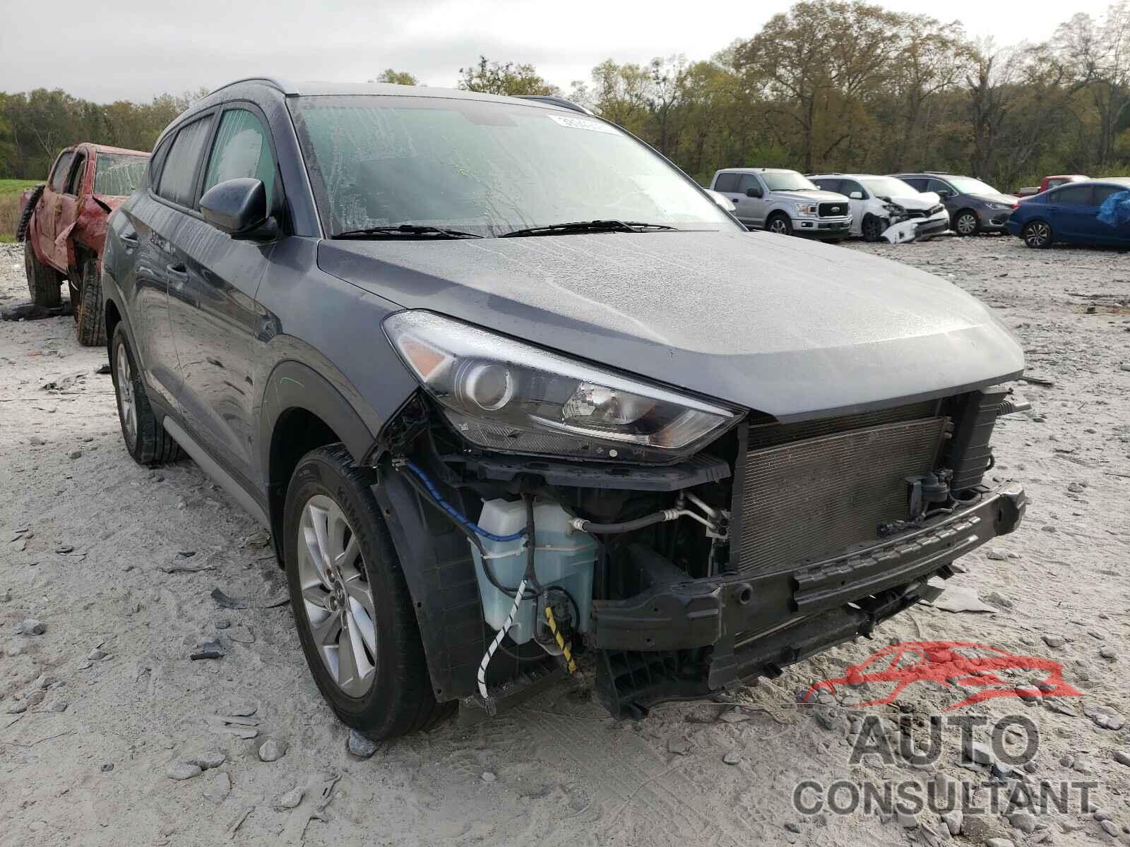 HYUNDAI TUCSON 2017 - KM8J33A44HU446232