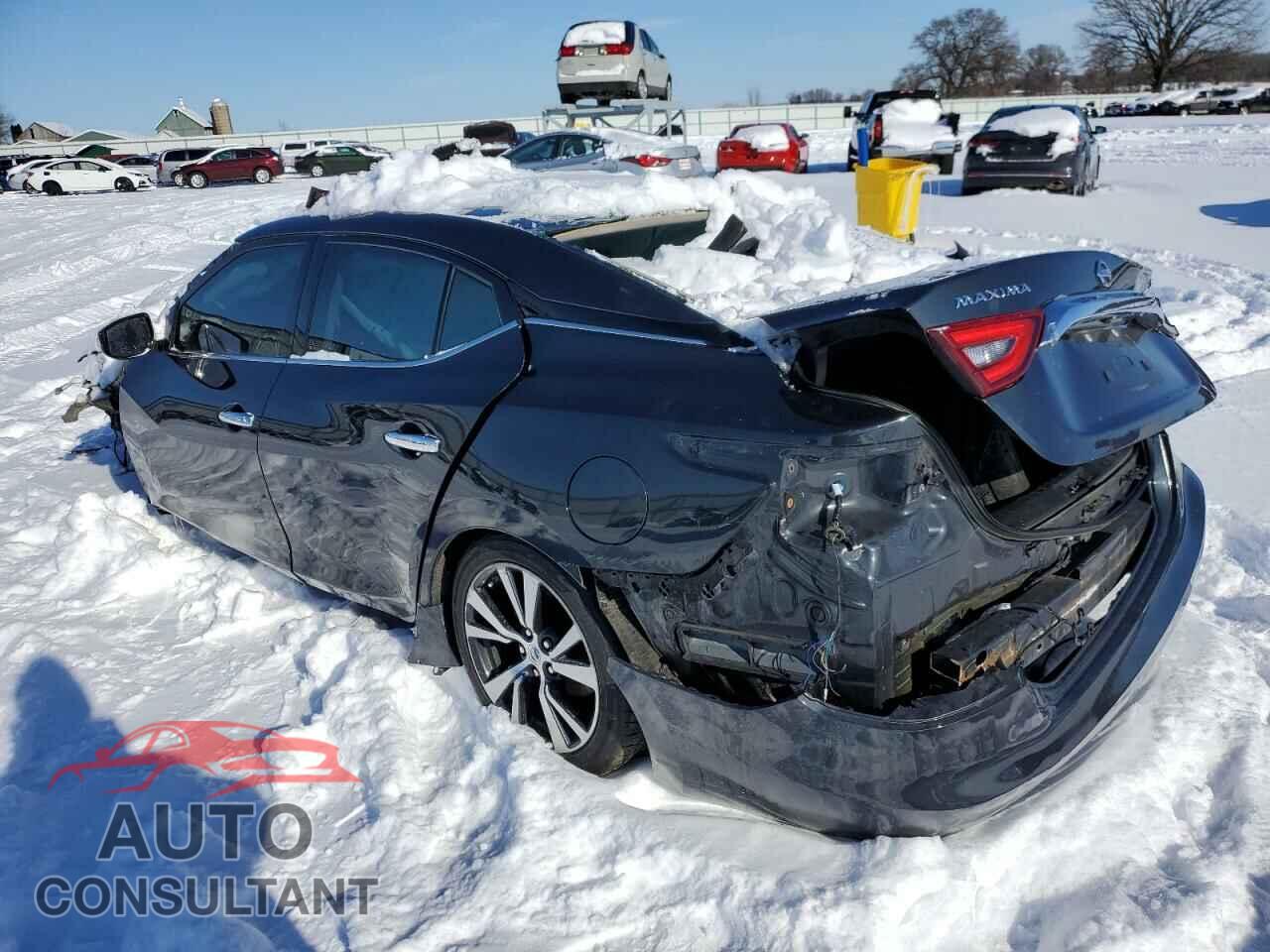 NISSAN MAXIMA 2017 - 1N4AA6AP7HC402422