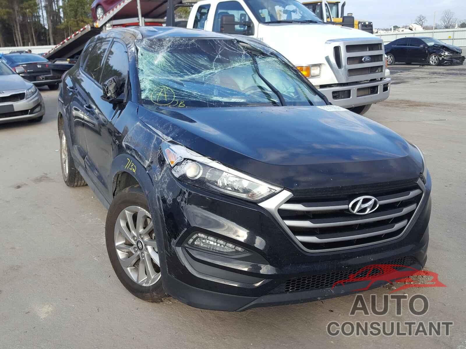 HYUNDAI TUCSON 2017 - KM8J33A40HU330333