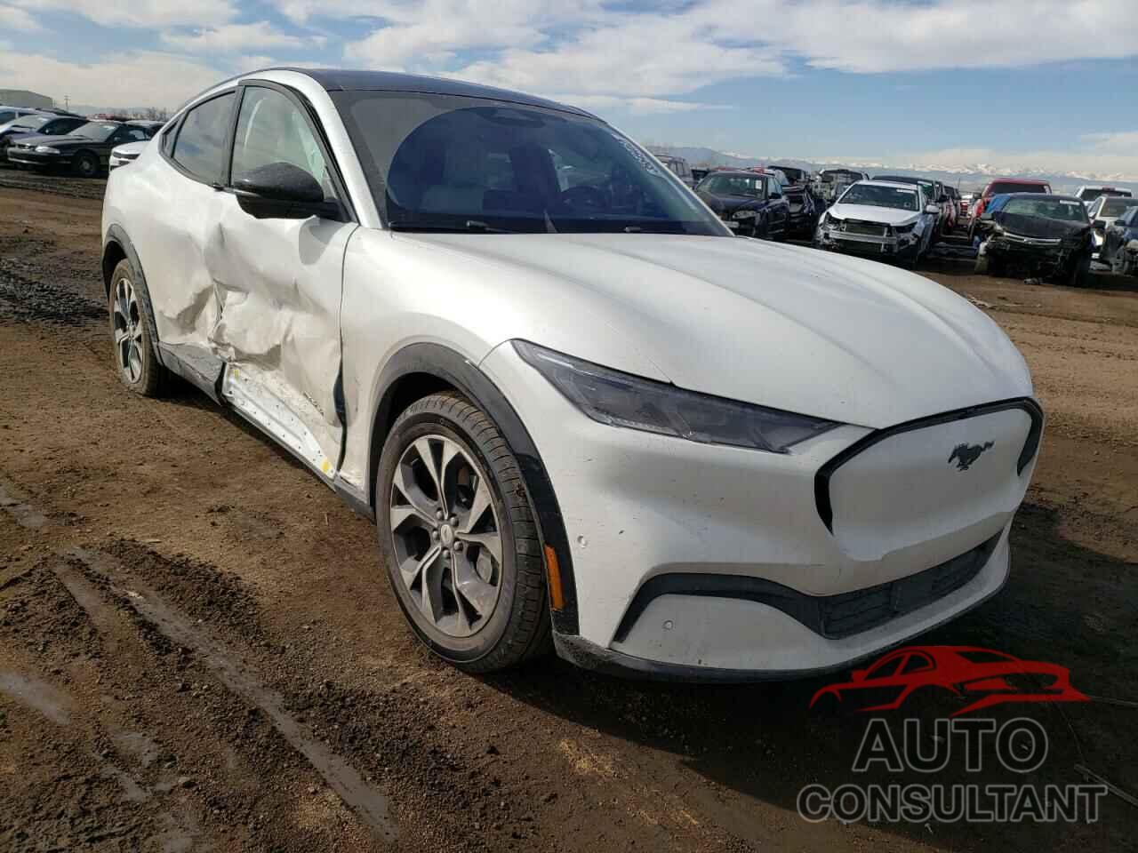 FORD MUSTANG 2021 - 3FMTK3SU7MMA45069
