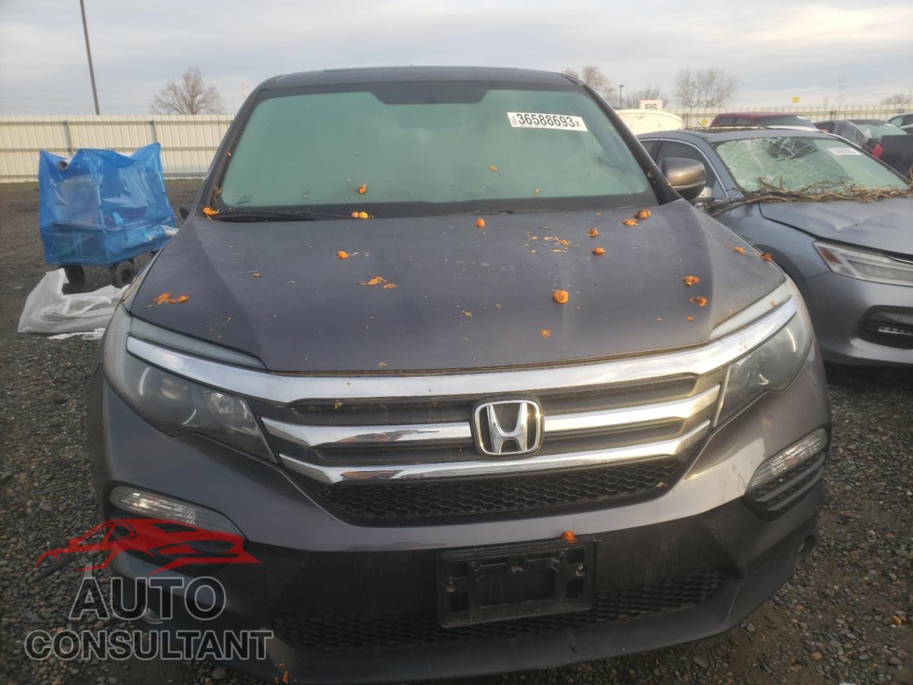 HONDA PILOT 2018 - 5FNYF6H50JB021180