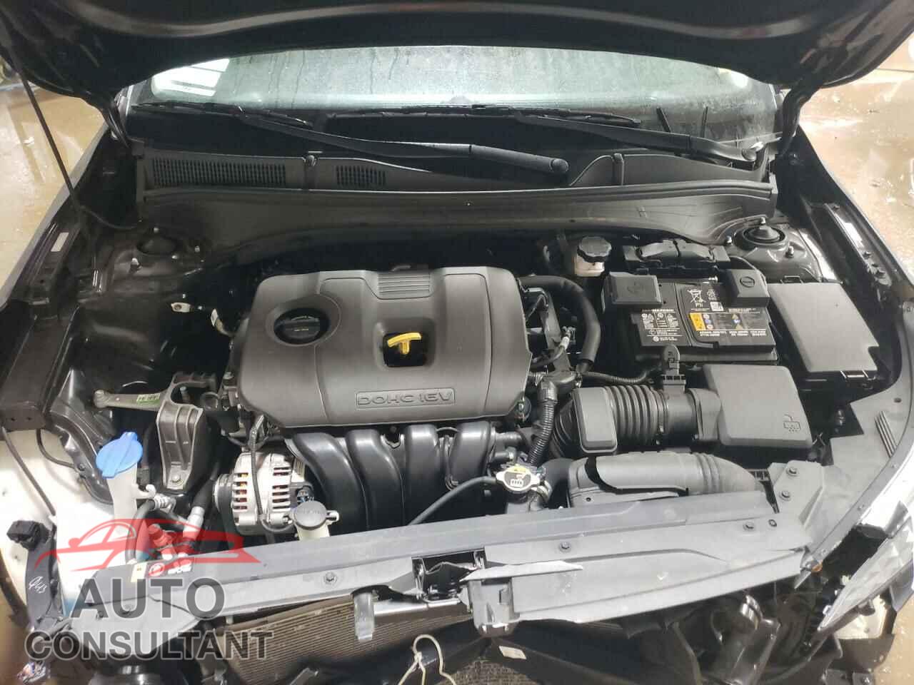 KIA FORTE 2023 - 3KPF24AD0PE511352