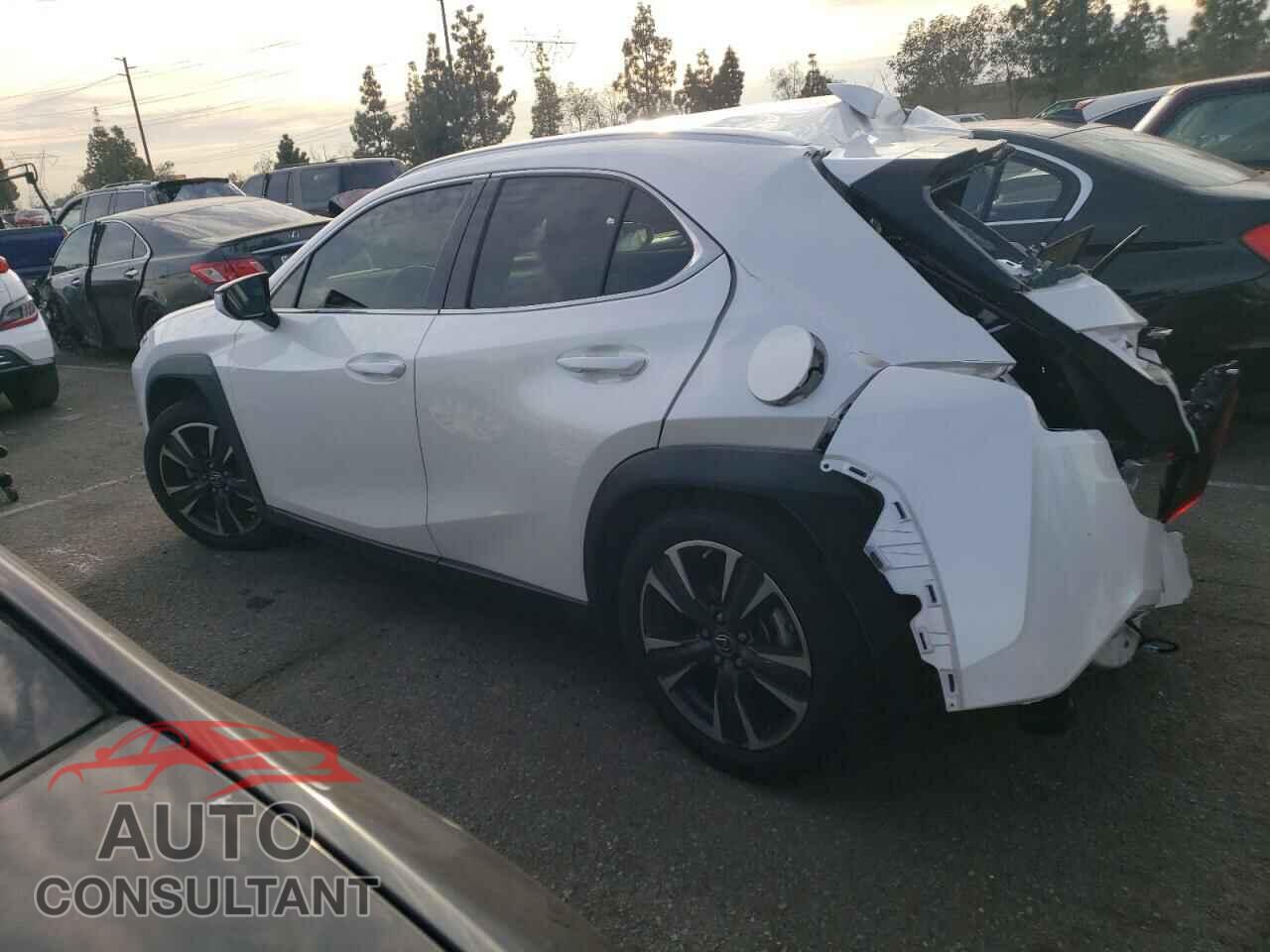 LEXUS UX 200 2019 - JTHY3JBH7K2017371