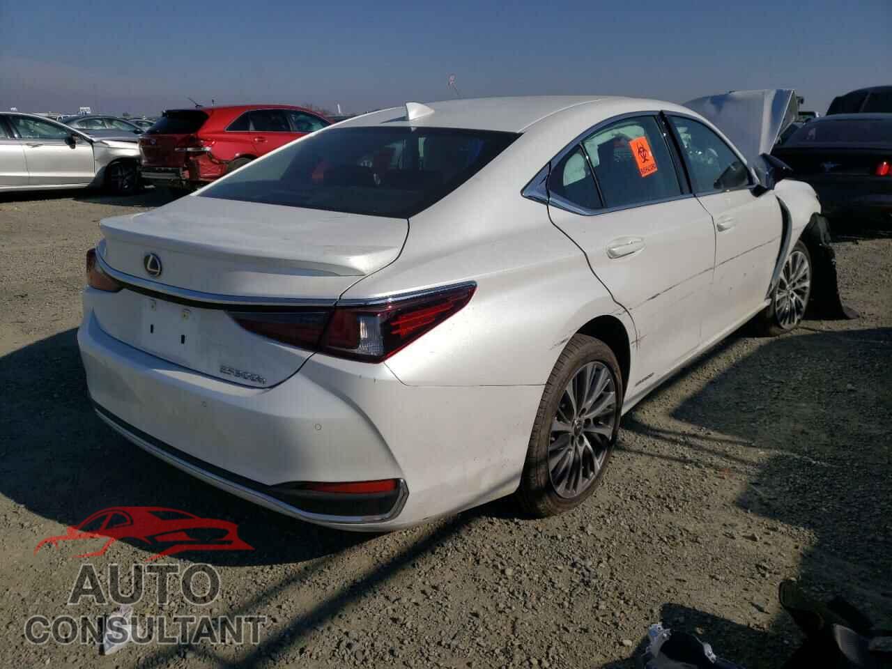 LEXUS ES300 2021 - 58ADA1C19MU012045