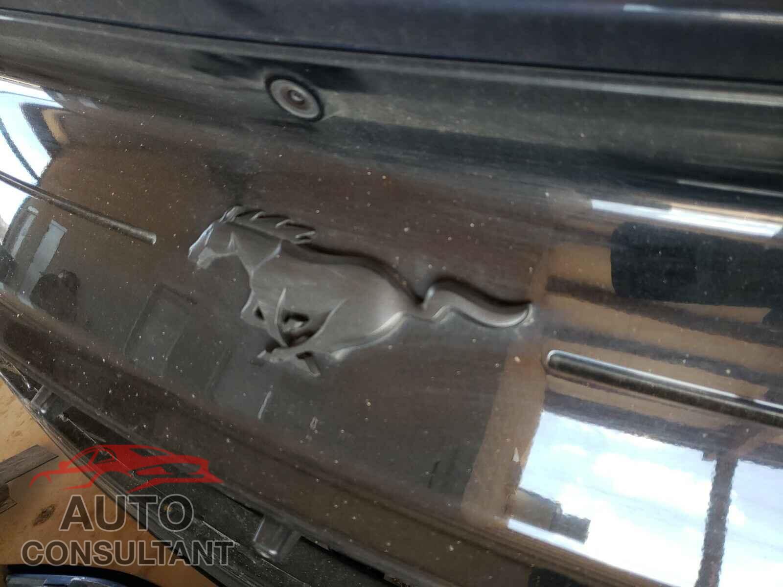 FORD MUSTANG 2019 - 1FA6P8TH1K5199285