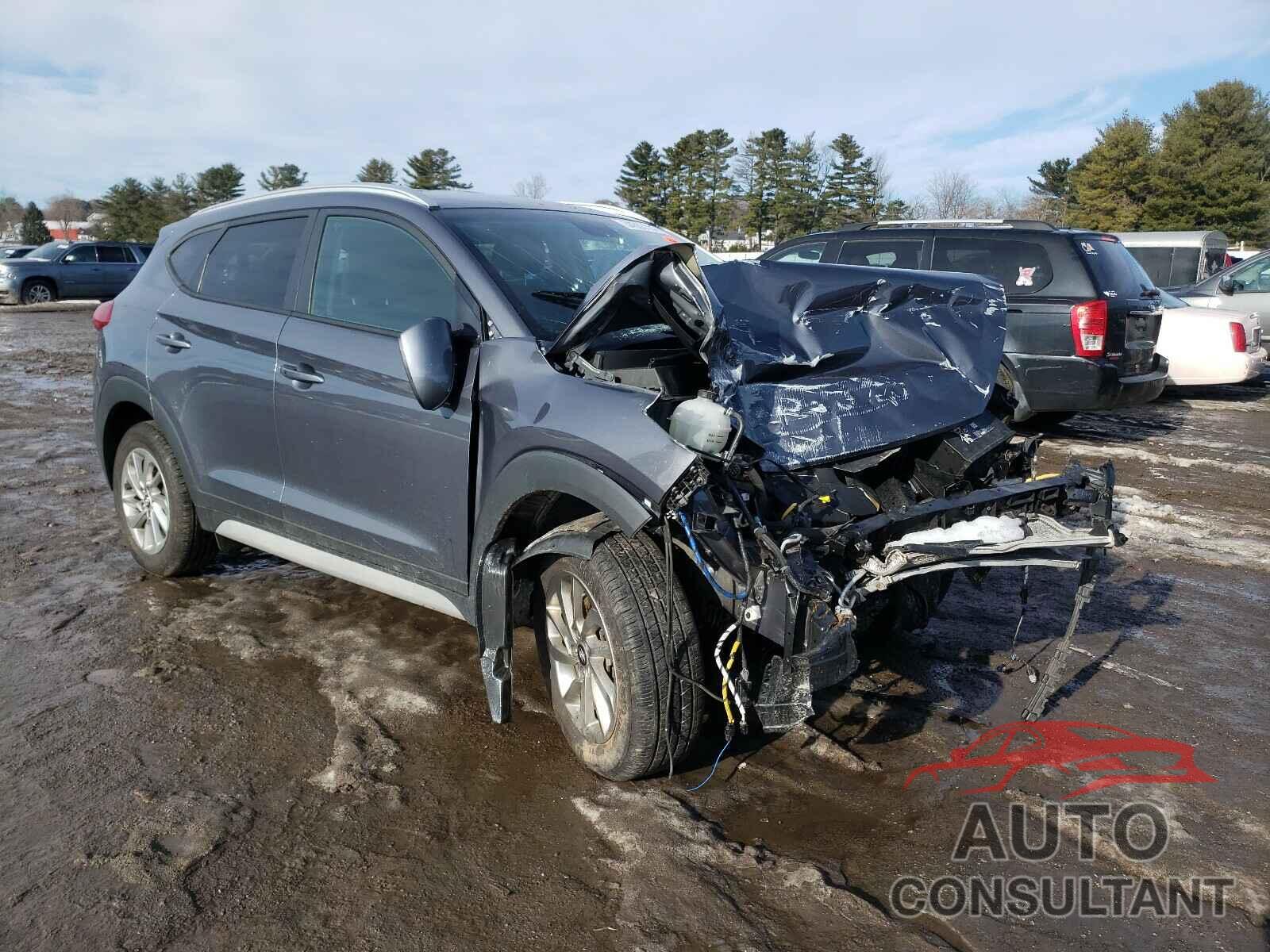 HYUNDAI TUCSON 2017 - KM8J3CA42HU445628