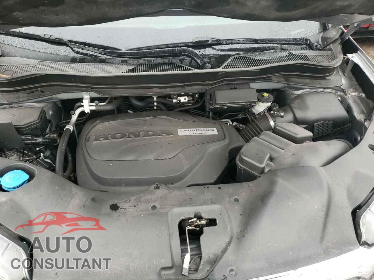 HONDA RIDGELINE 2019 - 5FPYK3F73KB004560