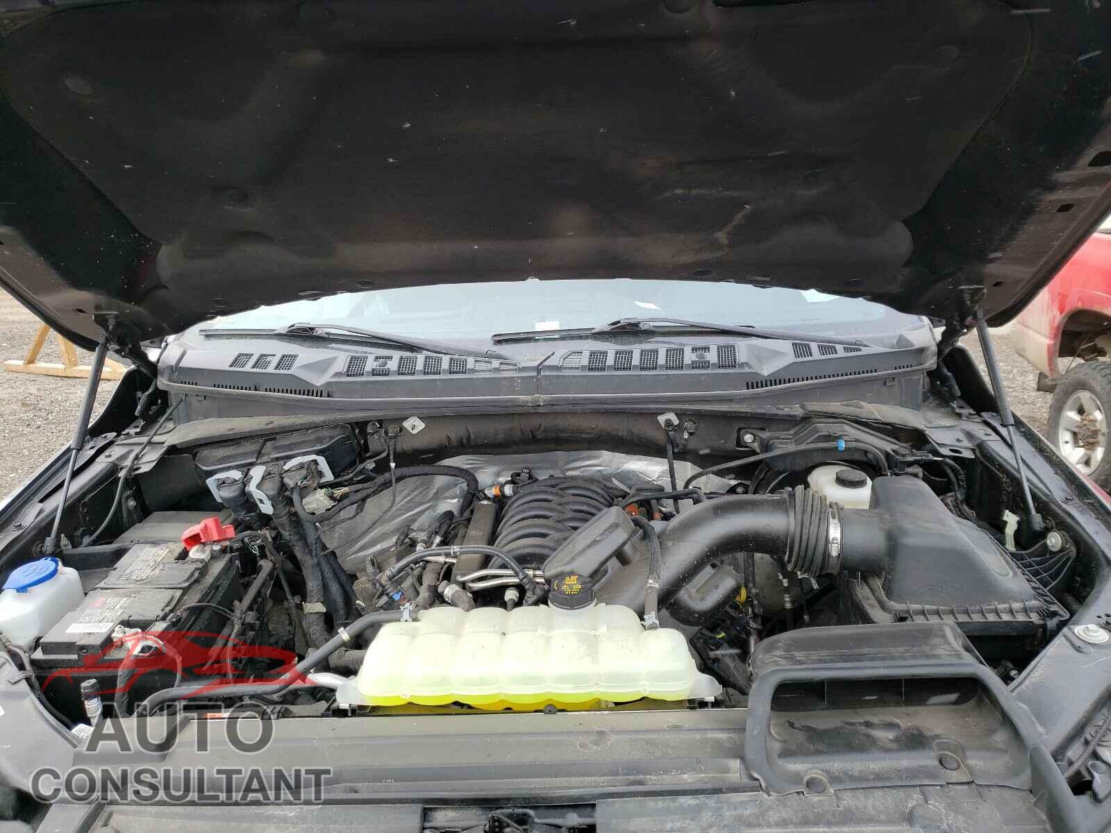 FORD F150 2020 - 1FTEW1E55LFB40187