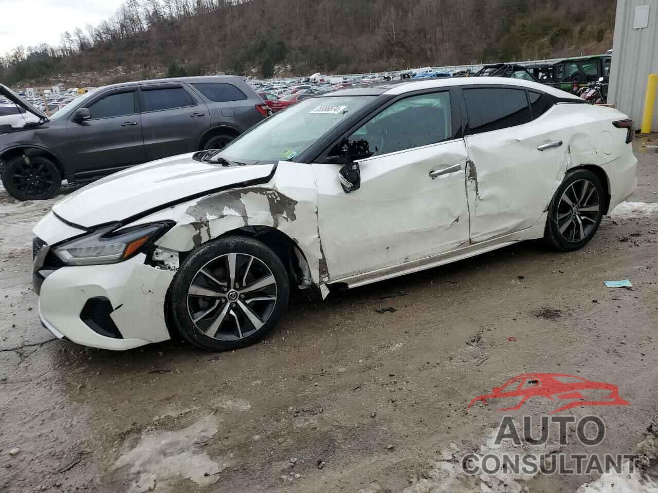 NISSAN MAXIMA 2019 - 1N4AA6AVXKC375058