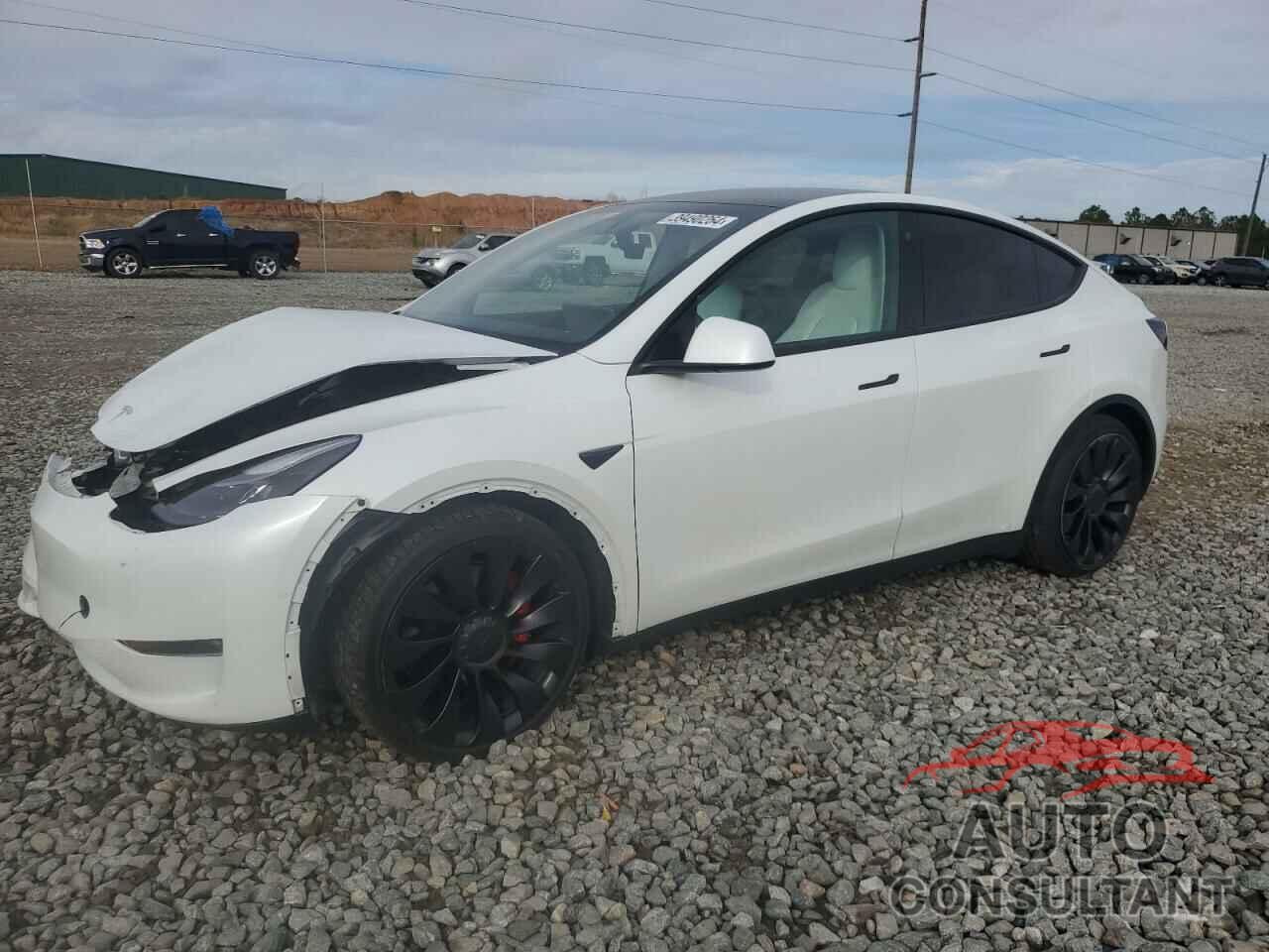 TESLA MODEL Y 2022 - 7SAYGDEF2NF518934