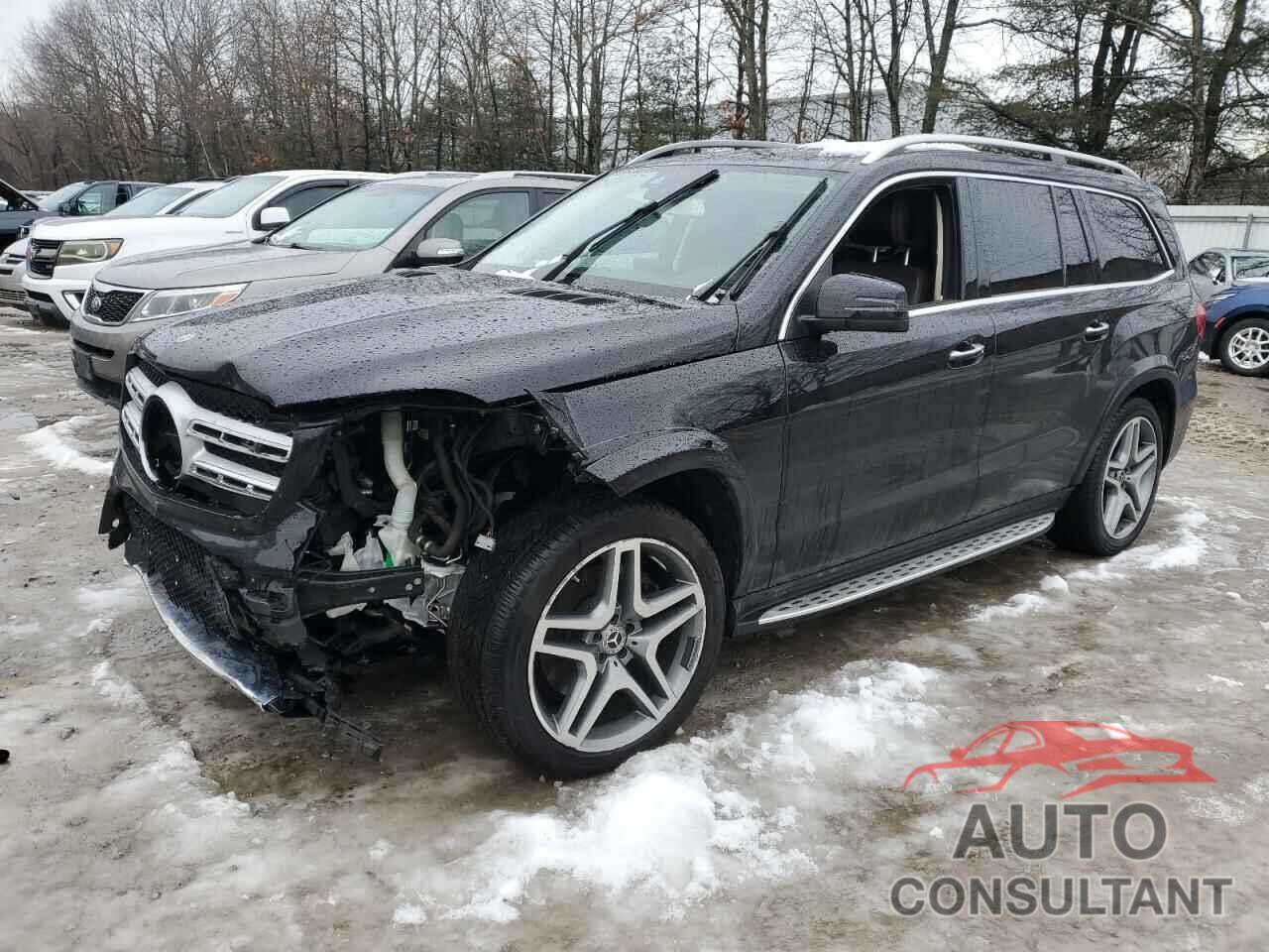 MERCEDES-BENZ GLS-CLASS 2019 - 4JGDF7DE6KB184118