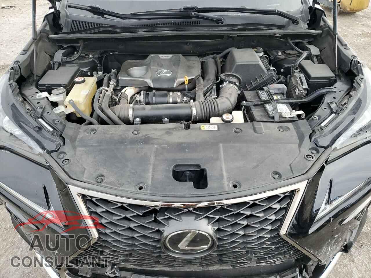 LEXUS NX 2019 - JTJYARBZ8K2134677