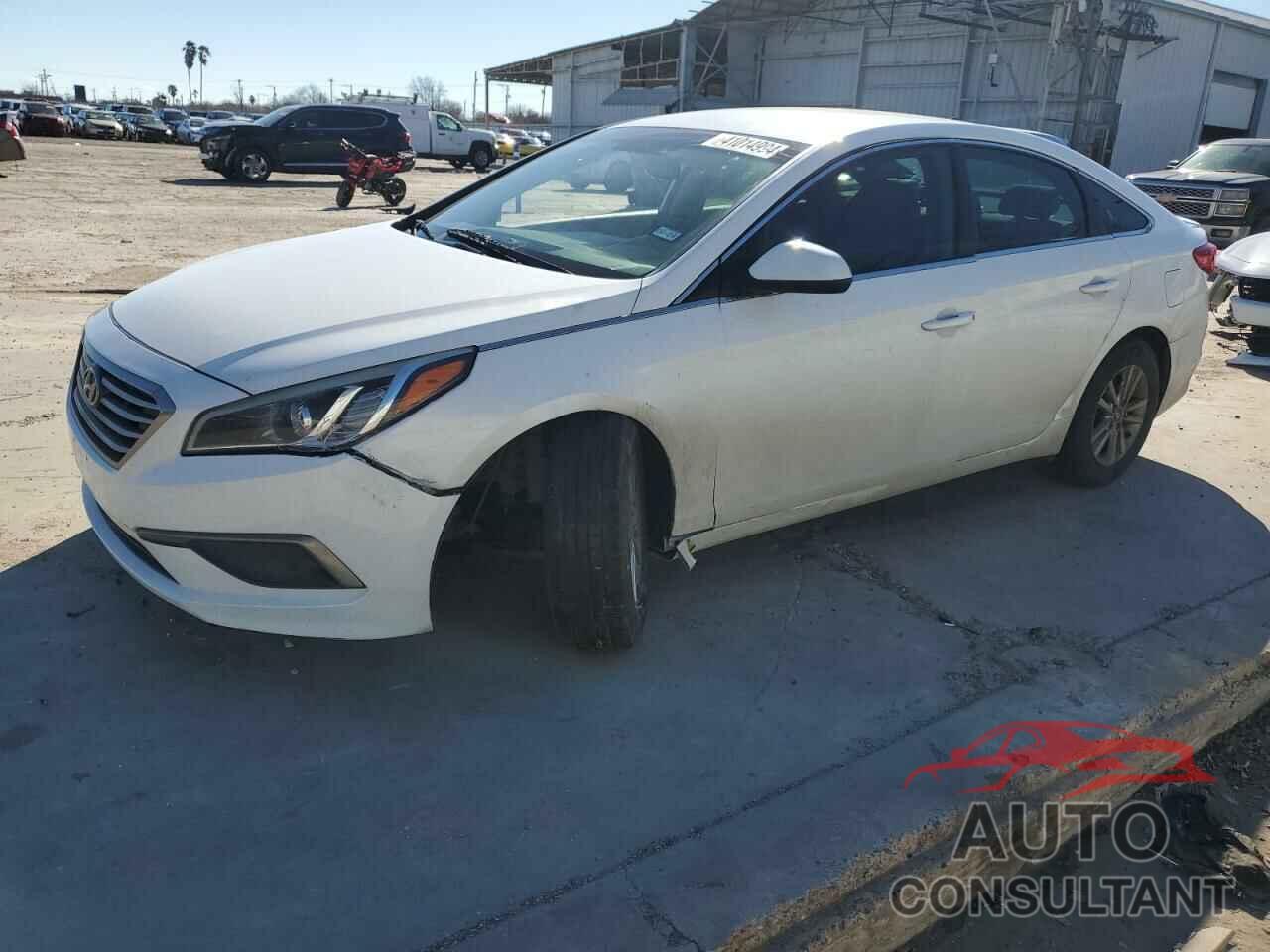 HYUNDAI SONATA 2016 - 5NPE24AF7GH387086