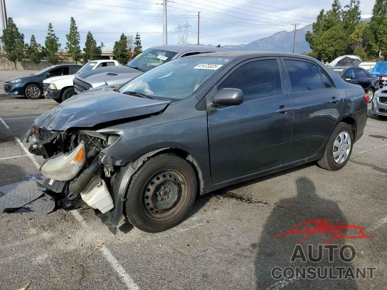 TOYOTA COROLLA 2009 - JTDBL40E599049321