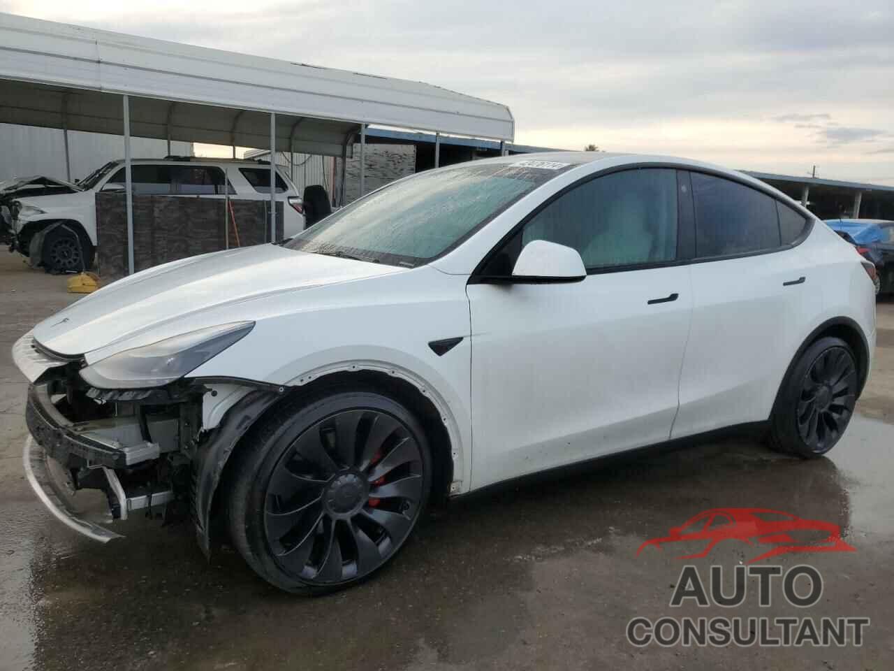 TESLA MODEL Y 2022 - 7SAYGDEF6NF344298