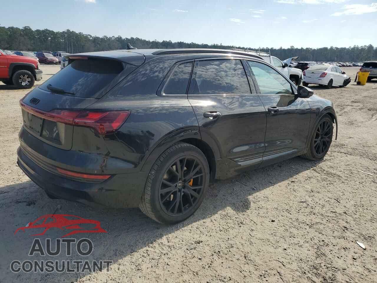 AUDI E-TRON CHR 2023 - WA1VABGE3PB006268